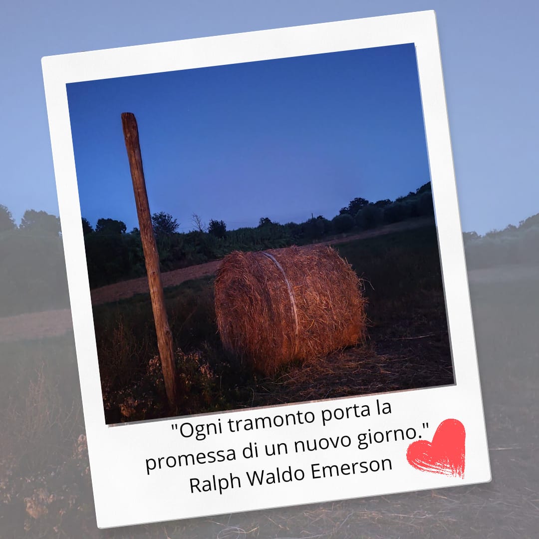 🌅❤️ 𝐔𝐧 𝐫𝐢𝐜𝐨𝐫𝐝𝐨 𝐝'𝐞𝐬𝐭𝐚𝐭𝐞 𝐜𝐡𝐞 𝐬𝐜𝐚𝐥𝐝𝐚 𝐢𝐥 𝐜𝐮𝐨𝐫𝐞 ❤️🌾